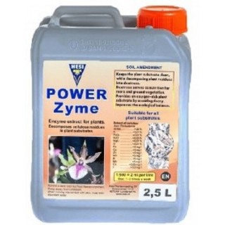 Power Zyme 2.5 L - Hesi