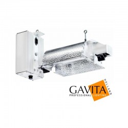Gavita Pro 6/750e DE FLEX EU (E-serie)
