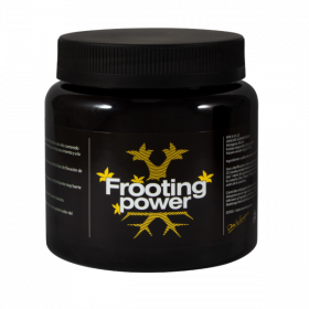 Frooting power 325 gr - BAC