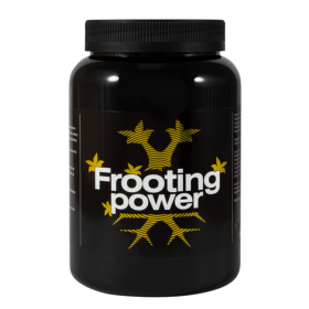 Frooting power 1 kg - BAC