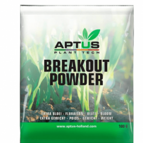 Breakout Powder 100 gr - Aptus