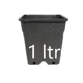 Pot Carré 1 Ltr (10.3×10.3×13.7cm)