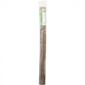 Bamboo Staker 150 cm (pack of 25)