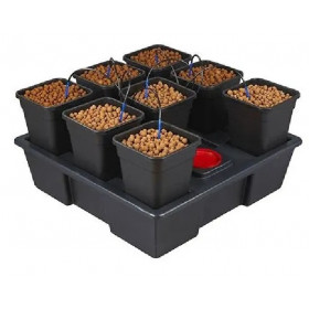 WILMA XL 8 Plantes (11L pots)  90x90 cm