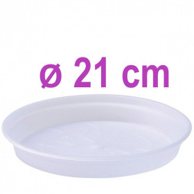 Soucoupe Transparente 21 cm pour Pot Orchidée