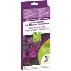 NEMATODES CONTRE LES VERS BLANCS OU MOUCHES DES TERREAUX pour 10 pots