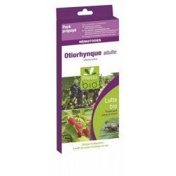 NEMATODES CONTRE L'OTIORHYNQUE ADULTE 10 M²