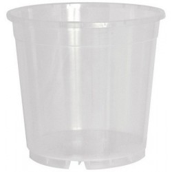 pot Orchidée17 cm /2.15 Lt  Jardirama