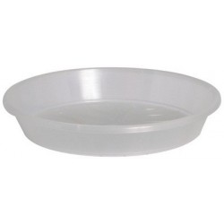 Soucoupe 16 cm Transparente pour Pot Orchidée