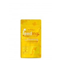 Long Flowering - 125 gr - Greenhouse Feeding Powder
