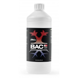 Ph+  up 1 Lt  BAC